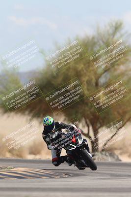 media/Oct-13-2025-Moto Forza (Mon) [[a66d839500]]/3-B Group/Session 4 Turn 4 Tree of Life/